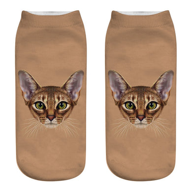 Brown Cat Socks