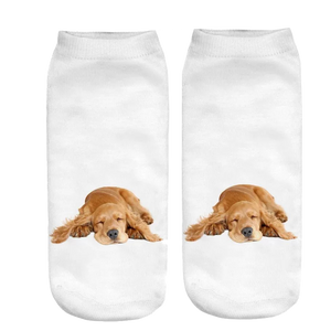 Sleeping Dog Socks