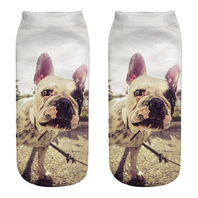 Cool Dog Socks