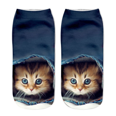 Cat in Jeans Socks