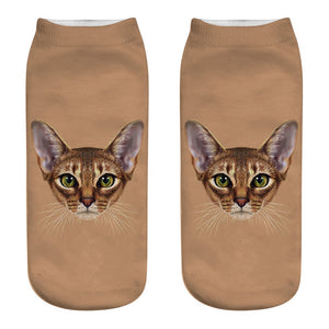 Brown Cat Socks