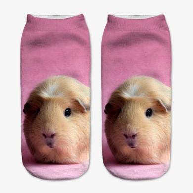 Pink Guinea Pig Socks
