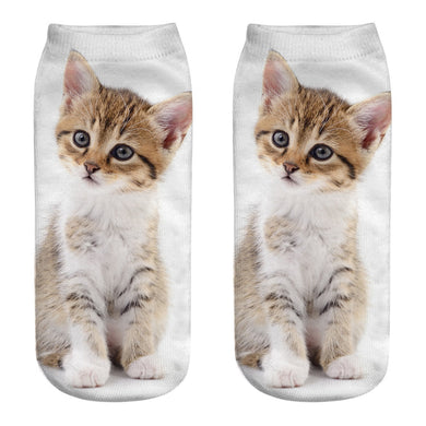 Little Kittie Cat Socks