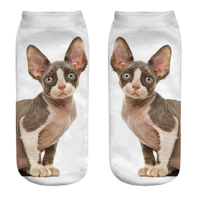 Hairless Cat Socks