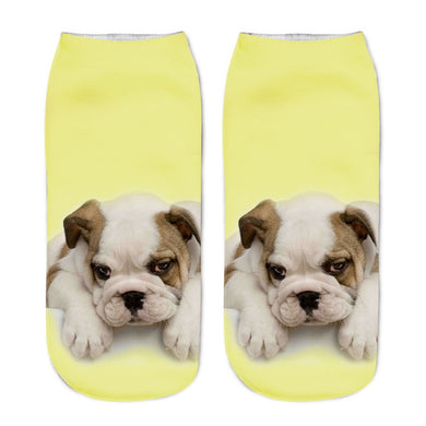 Yellow Dog Socks