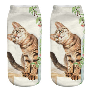 Curious Cat Socks