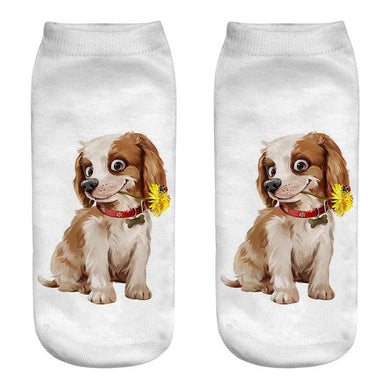 Daisy Dog Socks