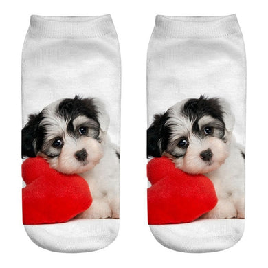 Heart Dog Socks