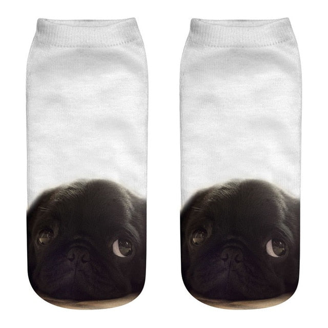 Timid Dog Socks